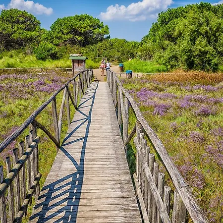 Grazia Apartment Rosolina Mare